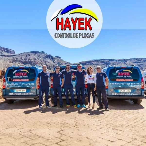 Foto de portada de Hayek Empresa de Control de Plagas
